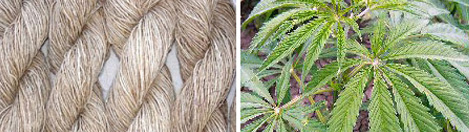 natural-hemp-image